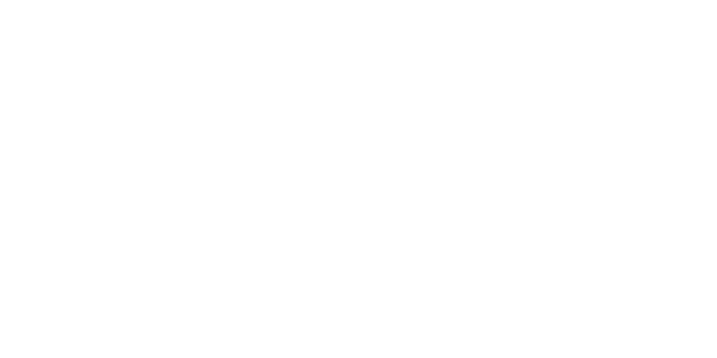 Dimax